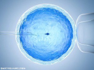 万级层流胚胎实验室